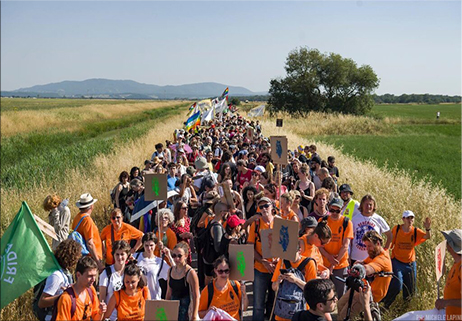 Allarme per la costa toscana