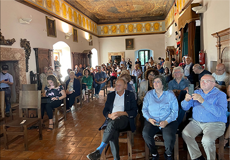 Il Molise modello per il futuro dell’olivicoltura italiana?