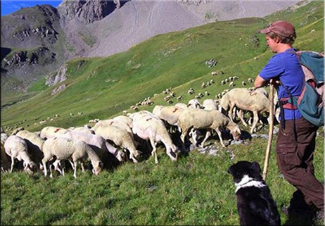 Nasce la prima scuola per pastori