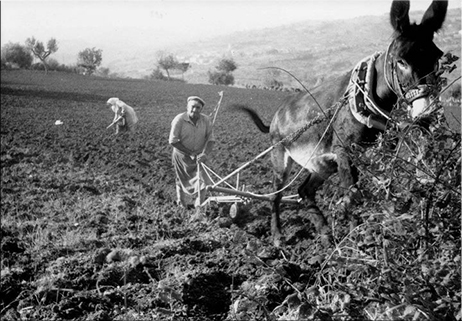 La giornata del contadino (3)