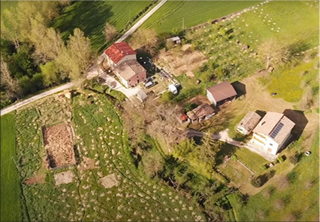 Agricoltura naturale o “del non fare”