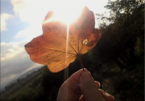 La luna d’autunno